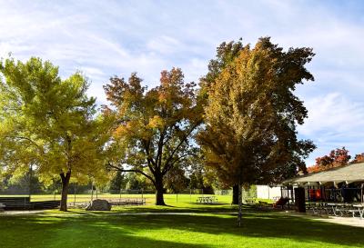 Park 3